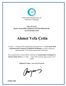 Ahmet Vefa Çetin Şema Mod Çalışmaları Eğitimi