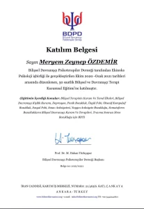 Meryem Zeynep Özdemir BDT Kuramsal Eğitim Belgesi